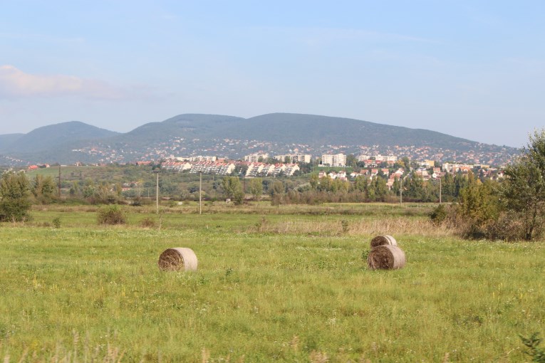 View from the train