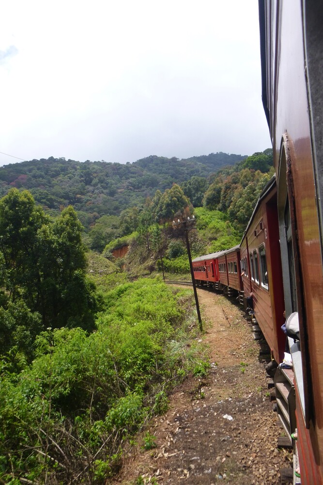 View from the train from Haputale to Nuware Eliya