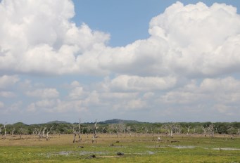 View Yala NP