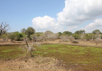 View Yala NP