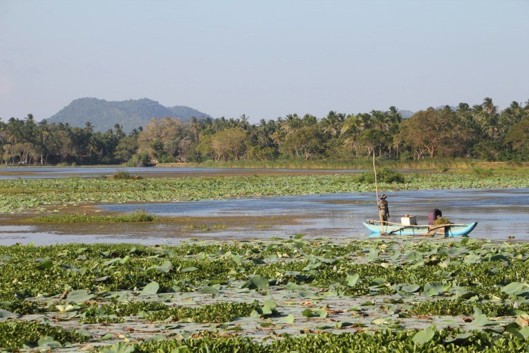 Tissa lake