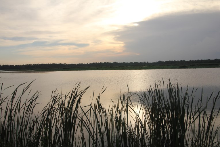 Sunset lake Debarawewa