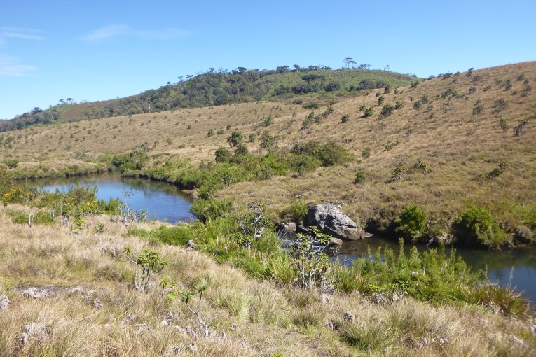 Horton plains