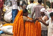 Kolkata bloemenmarkt