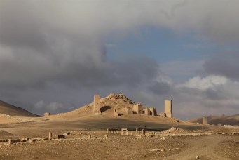 Palmyra2