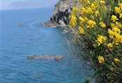 cinque terre