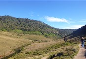 Horton plains