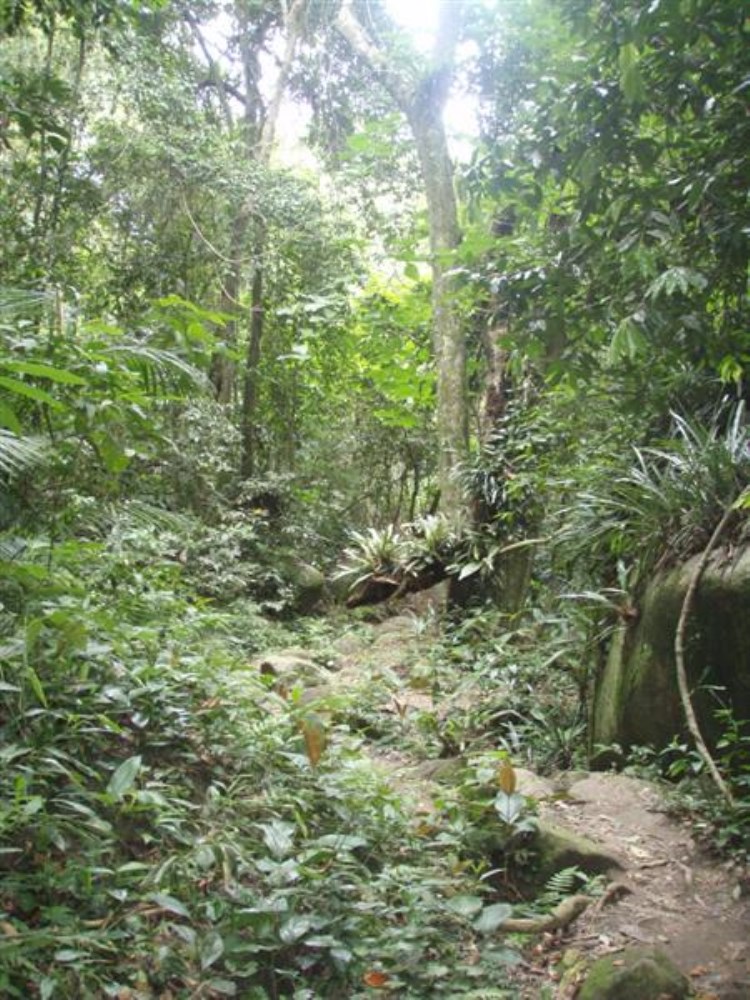 Ilha grande trail