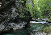 Bled, vintgar gorge2