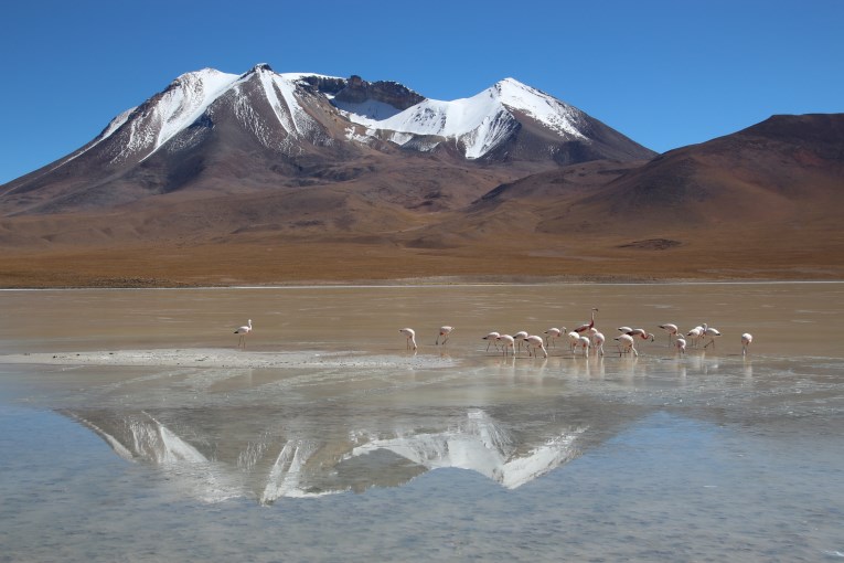 Magical mirror reflection