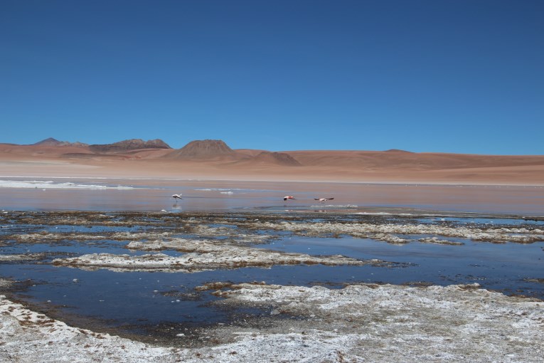 lake colorado