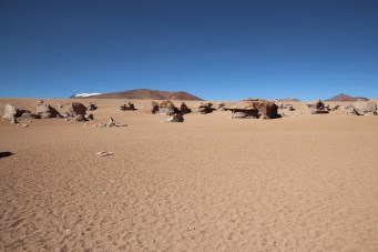 rock forest